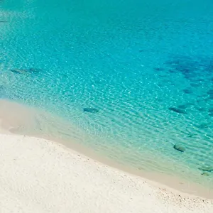 https://villa-soledad.it-tuscanyhotel.com